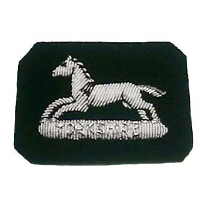 PRINCE OF WALES OWN YORKSHIRE Regiment SIDE CAP CUT OUT (4334335262792)