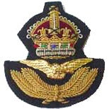 RAF Officer's Beret Badge with King's Crown (4344137416776)