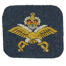 RAF Physical Training Instructor (PTI) MESS ARM BADGE (4334375600200)