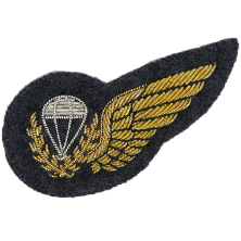 RAF PARACHUTE INSTRUCTOR MESS 1/2 WING (4334371602504)