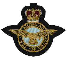 RAF BLAZER BADGE LARGE (4334375764040)