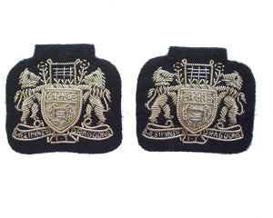 WESTMINSTER DRAGOONS COLLAR BADGES (4334353317960)