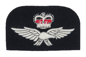 RAF BLAZER BADGE IN WHITE SILKS (4334375993416)