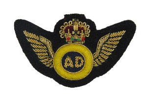 AIR DESPATCH ARM BADGE GOLD WINGS NO.1 ON BLACK (4344225464392)