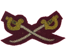 Crossed Swords Mess Dress badge (4334331789384)