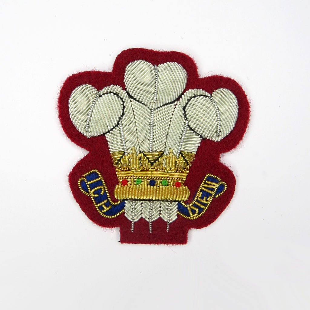 Royal Wessex Yeomanry/SNCO Rank badge / Royal Wiltshire Yeomanry/Plumes (4334674608200)